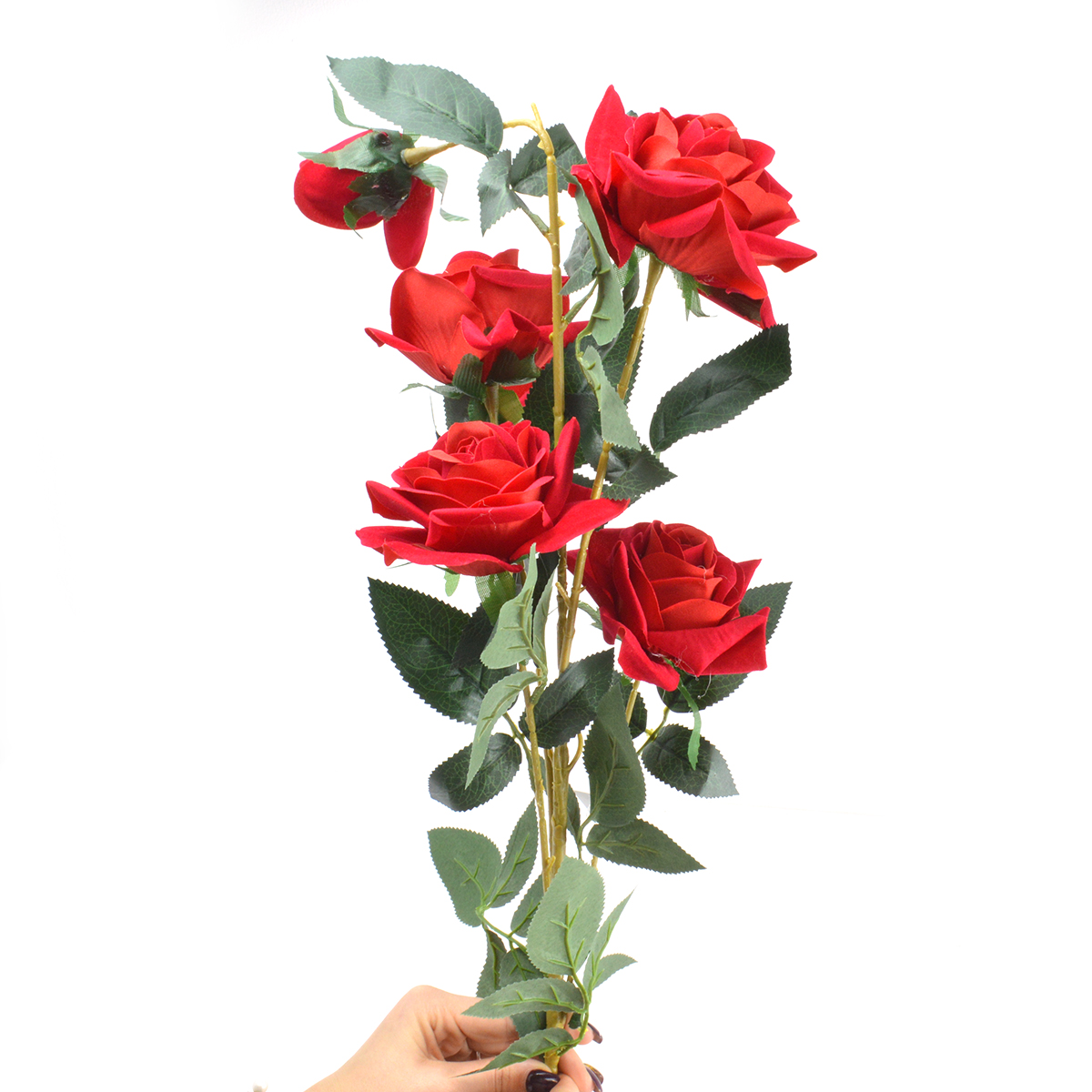 Rose de velours géante à longue tige rouge 27-80 AFO -  AmbalajeFloriOnline.ro